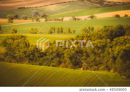 Autumn wavy fields Autumn wavy fields 48509005