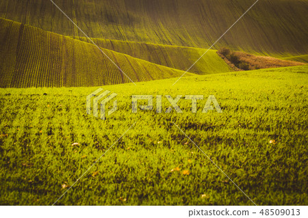 Green waves 48509013