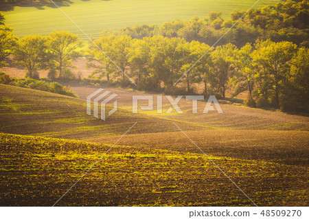 Wavy  autumn fields in Moravian Tuscany,  48509270