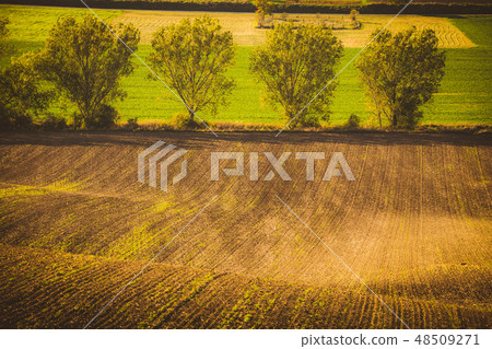 Wavy  autumn fields in Moravian Tuscany,  48509271