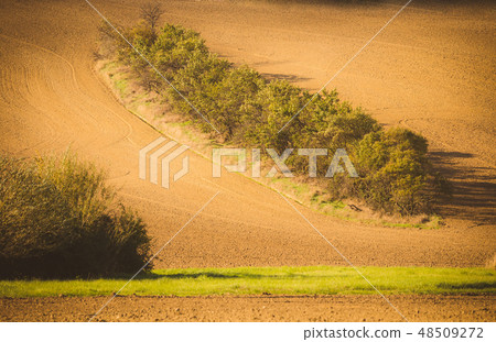 Wavy  autumn fields in Moravian Tuscany, 48509272