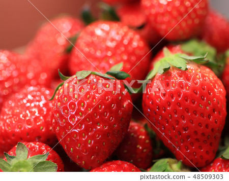 Ichigo image 48509303