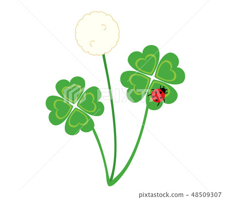 幸運草12 48509307