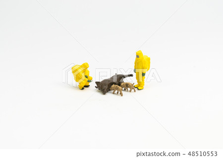 Current Affairs Issue Swine Fever 48510553