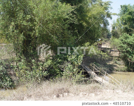 Jungle · mud river · wood bridge (Jar plain / Laos) 48510710