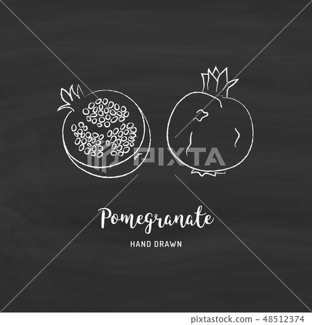 Pomegranate fruit drawing Vector hand drawn garnet fruit. Sketch of pomegranates with chalk on a Pomegranate fruit drawing Vector hand drawn garnet fruit. Sketch of pomegranates with chalk on a 48512374