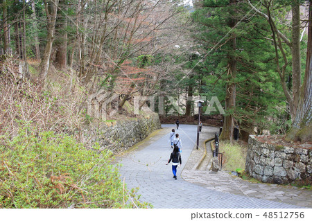 way to Rinnoji Temple 48512756