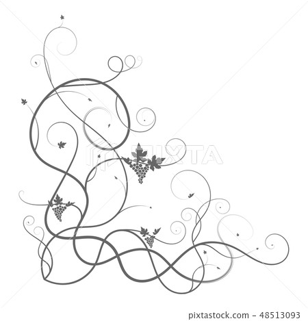 vine vine plexus triangle branch on white 48513093
