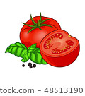 Fresh red tomato with basil and pepper isolated on white background 48513190