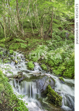 [清水瀑布] 48514173