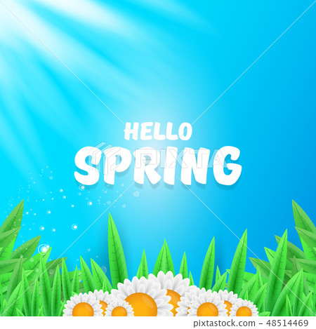 vector hello spring banner with green grass, sky and flowers. hello spring flyer, banner or vector hello spring banner with green grass, sky and flowers. hello spring flyer, banner or 48514469