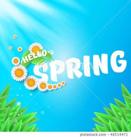vector hello spring banner with green grass, sky and flowers. hello spring flyer, banner or vector hello spring banner with green grass, sky and flowers. hello spring flyer, banner or 48514471