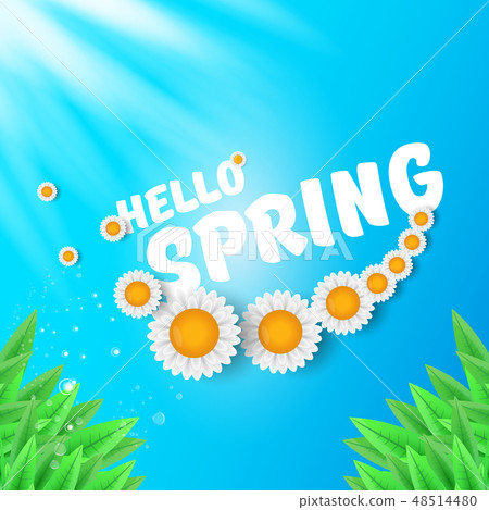 vector hello spring banner with green grass, sky and flowers. hello spring flyer, banner or vector hello spring banner with green grass, sky and flowers. hello spring flyer, banner or 48514480