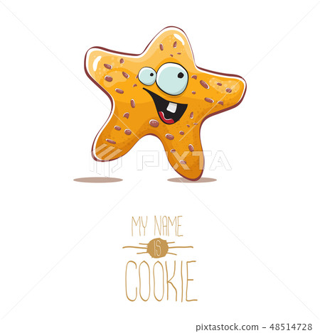 vector funny hand drawn star shape cookie character isolated on white background. My name is cookie 48514728