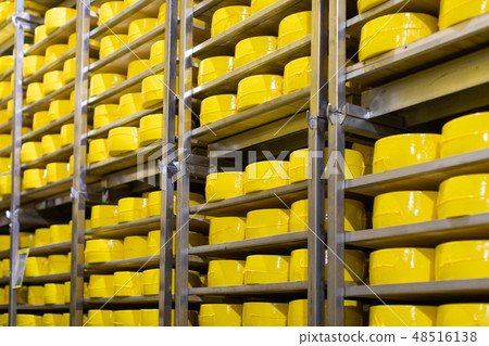 shelves with cheese at a cheese warehouse Close up shelves with cheese at a cheese warehouse Close up 48516138