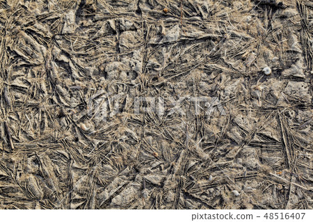 Background texture of plants frozen in ice Background texture of plants frozen in ice 48516407