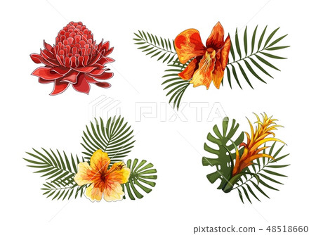 Exotic Flowers, Tropical Leaves design elements. Vector floral illustrations 48518660
