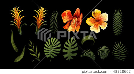 Exotic Flowers, Tropical Leaves design elements. Vector floral illustrations Exotic Flowers, Tropical Leaves design elements. Vector floral illustrations 48518662