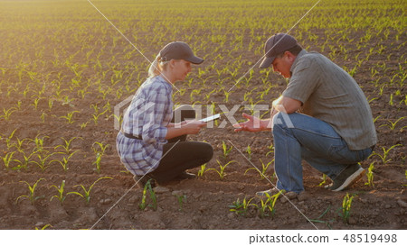 Two farmers work in the field in the evening before sunset. Inspect the green shoots on the field 48519498
