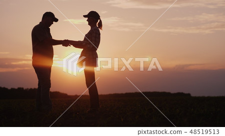 Farmers man and woman communicate in the field at sunset. They use a tablet, then shake hands. Deal Farmers man and woman communicate in the field at sunset. They use a tablet, then shake hands. Deal 48519513