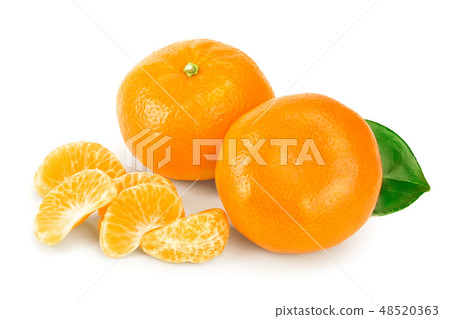 tangerine or mandarin fruit with leaves isolated on white background tangerine or mandarin fruit with leaves isolated on white background 48520363