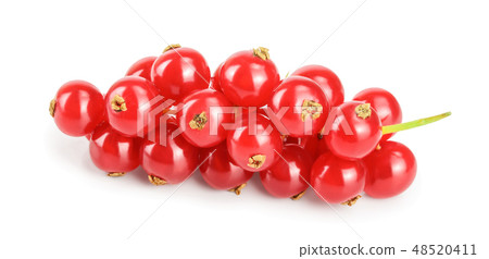 Red currant berry isolated on white background Red currant berry isolated on white background 48520411