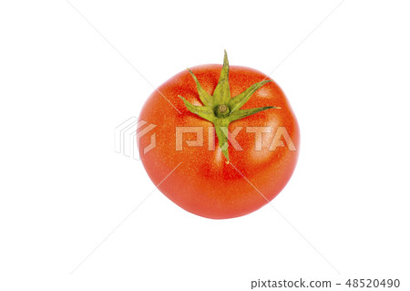 1 tomato 1 tomato 48520490