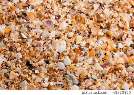 sand of small shells on the coast as background closeup sand of small shells on the coast as background closeup 48520590
