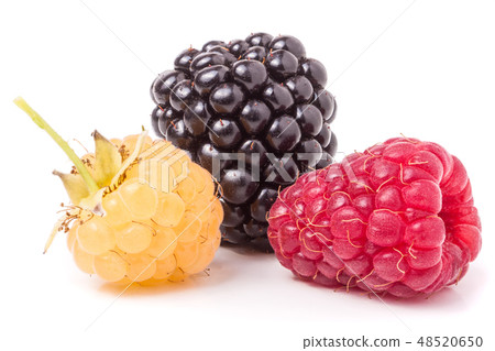 raspberries and blackberries isolated on white background raspberries and blackberries isolated on white background 48520650