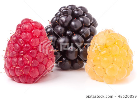 raspberries and blackberries isolated on white background raspberries and blackberries isolated on white background 48520859