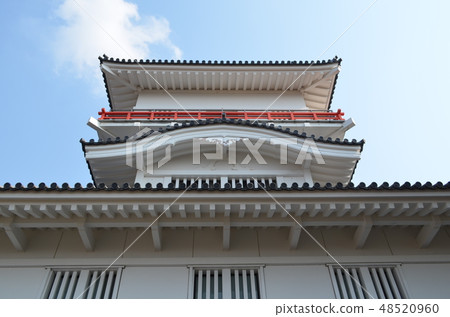 Kyubo Taguchi of fine weather Kyubo Taguchi of fine weather 48520960