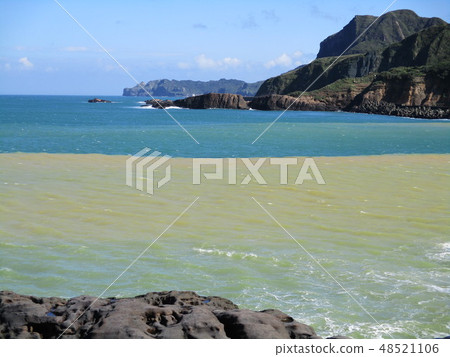 東北海岸 東北海岸 48521106