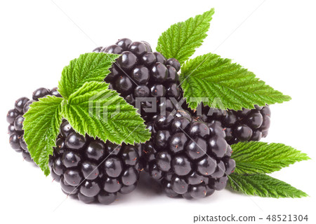 pile of blackberry with leaves isolated on white background 48521304