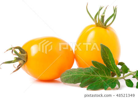 two yellow tomato with leaf isolated on white background 48521349