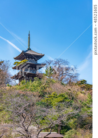 老燈明廟三重塔(中區,橫濱,三溪園) 老燈明廟三重塔(中區,橫濱,三溪園) 48521605