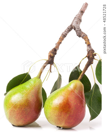Two red pears with leaves isolated on white background Two red pears with leaves isolated on white background 48521728