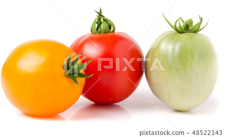 red yellow and green tomatoes isolated on white background 48522143