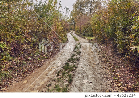 Dirtroad in the countryside 48522234