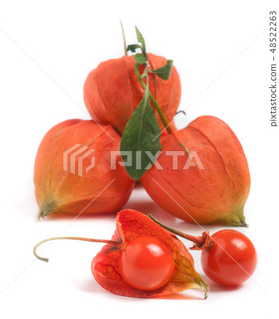 husk tomatoes or physalis with leaf isolated on white background 48522263