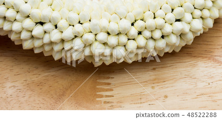 Many Malai off white rak flower in round blossom Many Malai off white rak flower in round blossom 48522288