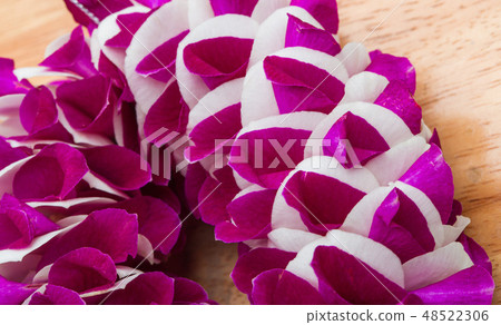Purple off white Orchid flower round blossom shape 48522306