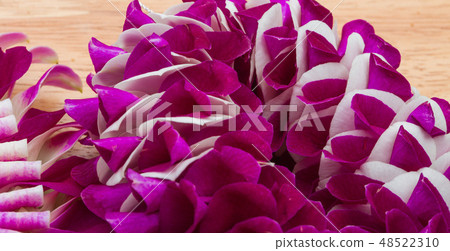 Purple off white Orchid flower round blossom shape Purple off white Orchid flower round blossom shape 48522310
