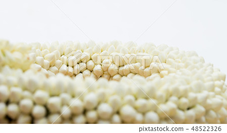 Many Malai off white rak flower in round blossom Many Malai off white rak flower in round blossom 48522326