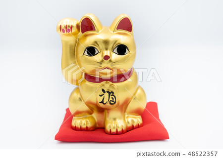 Kim's inviting cat 48522357