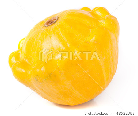 one yellow pattypan squash isolated on white background 48522395