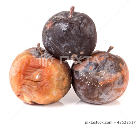 three rotten apple isolated on a white background three rotten apple isolated on a white background 48522517