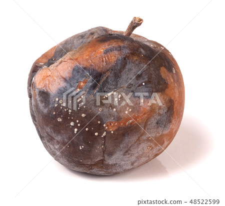 rotten apple isolated on a white background rotten apple isolated on a white background 48522599