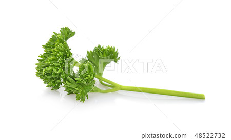 Parsley isolated on white background Parsley isolated on white background 48522732