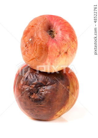two rotten apple isolated on a white background 48522761