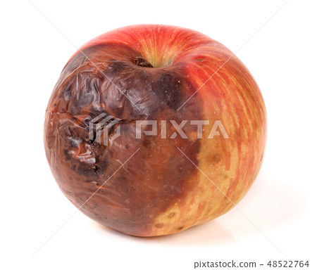 rotten apple isolated on a white background 48522764